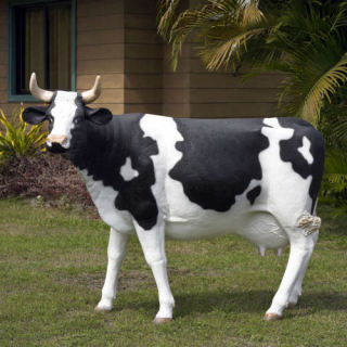Life Size Cows and Cow Parade Statues & Sculptures - Animated Statues